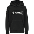Hummel Bpys Kids box Hoodie