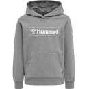 Hummel Bpys Kids box Hoodie