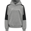 Hummel Kids Girls boxline Hoodie