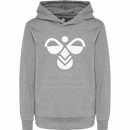 Hummel Boys Kids cuatro Hoodie