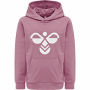 Hummel Boys Kids cuatro Hoodie