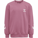 Hummel Kids Hmlventi Tracksuit