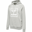 Hummel Men's Isam 2.0 Hoodie