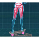 SHARP BODY Shapeboard, Balance Board with LC Display, Balance Board, Ski Trainer with 2 Expander Bands and Handles Including Underlay Mat