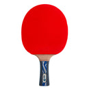 Donic-Schildkröt® Table Tennis Racket Legend Premium Line PLATINUM ( Cover Included)