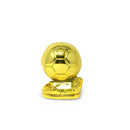 Ballon D'or Award