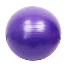 Gym Fitness Ball