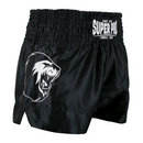 Super Pro Combat Gear Thai And Kickboxing Short Hero
