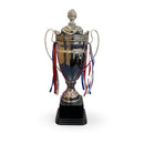 Silver Trophy Award
