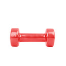 1 Piece Vinyl Dumbbell 1.5KG Red