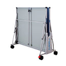 Giant Dragon Outdoor Table Tennis Table + 2 Giant Dragon Tai Chi 3 Star Rackets and 6 Giant Dragon Silver