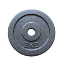 1 Piece Iron Weight Plate 2.8 CM Diameter Grey
