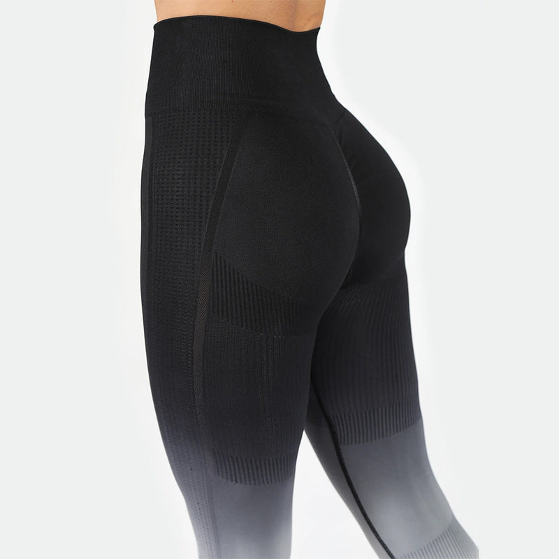 Winnerforce Women Regina Seamless SET