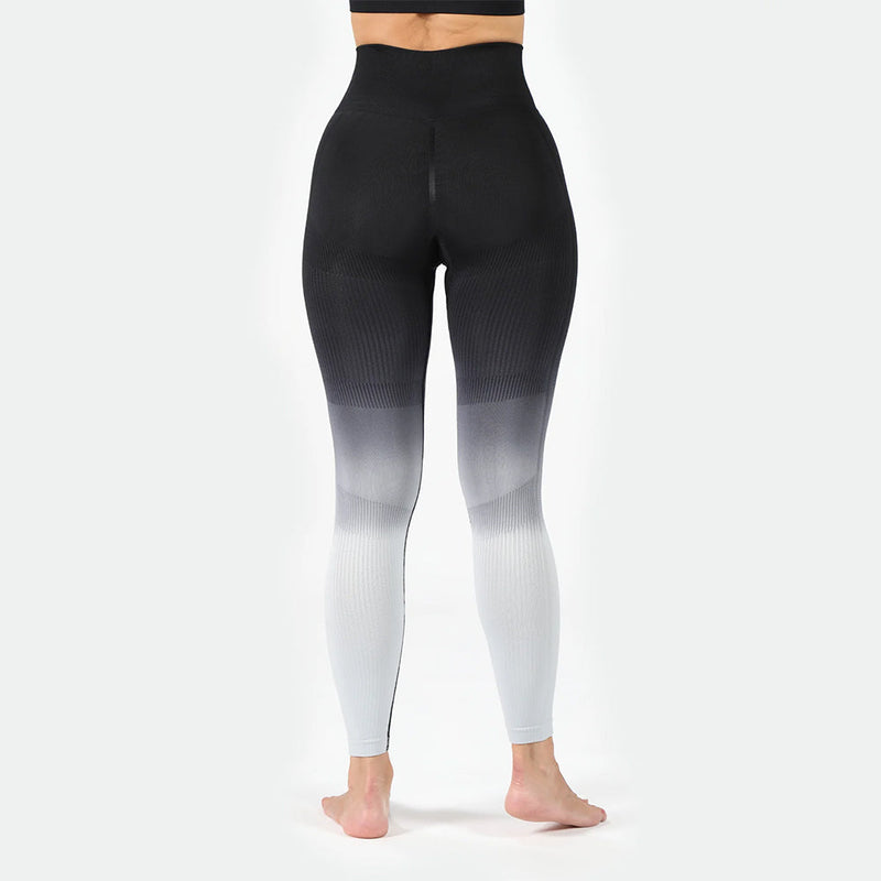 Winnerforce Women Regina Seamless SET