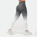 Winnerforce Women Regina Seamless SET
