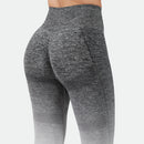 Winnerforce Women Regina Seamless SET
