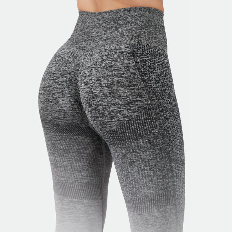 Winnerforce Women Regina Seamless SET