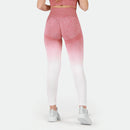 Winnerforce Women Regina Seamless SET