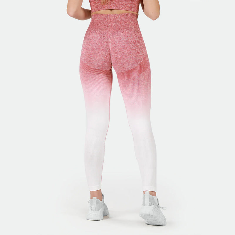 Winnerforce Women Regina Seamless SET