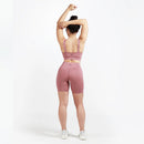 Winnerforce Women Essential Bra