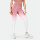 Winnerforce Women Regina Seamless SET