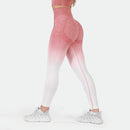 Winnerforce Women Regina Seamless SET