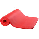 Fitness Exercise Mat Premium With Handle Strap Plus Cover Bag