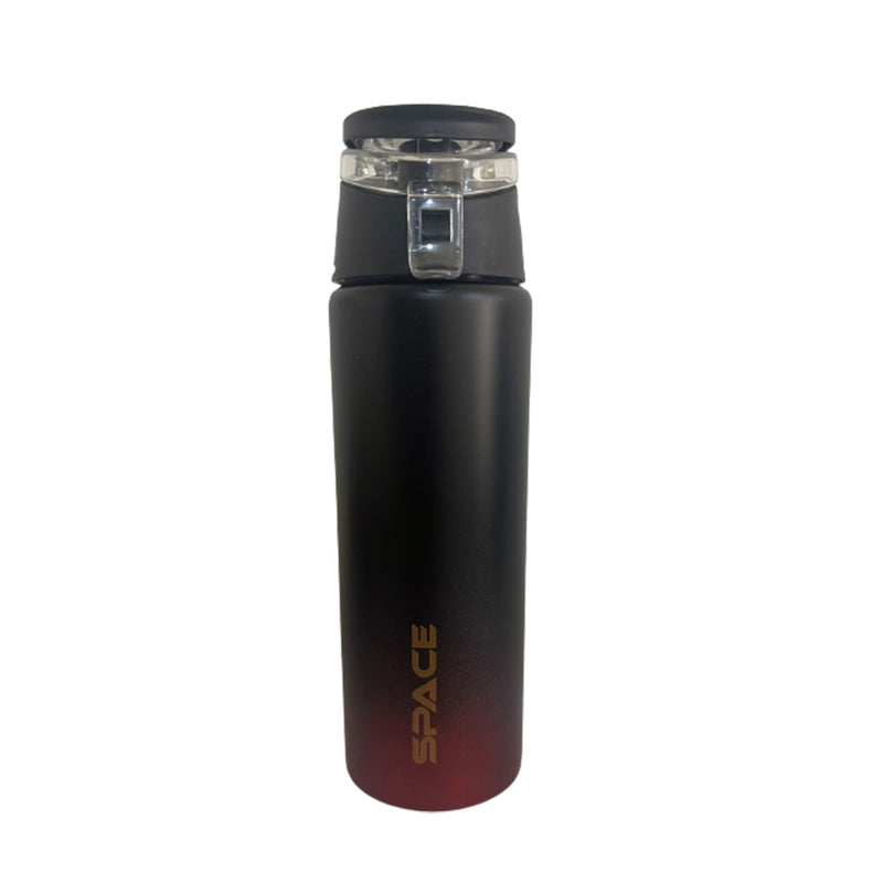 Stainless Space Water Bottle 600 ML